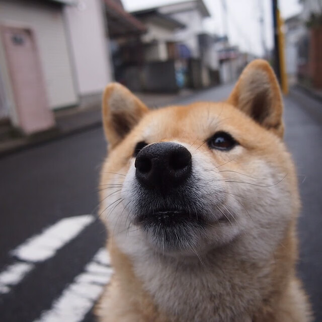 传奇宠儿:那些在欧冠舞台上留下浓墨重彩的球员,传奇欧洲杯