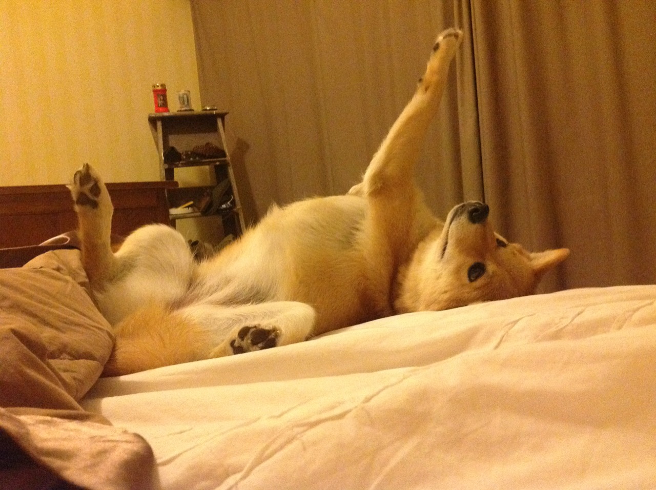 爱游戏 电竞-“西甲激烈厮杀，球队士气火热迎冲刺”，西甲loading