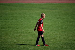 爱游戏官网-中国足球职业俱乐部球员转会市场活跃度提升，中国足球协会球员身份与转会管理规定